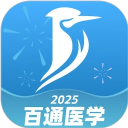 红叶影评